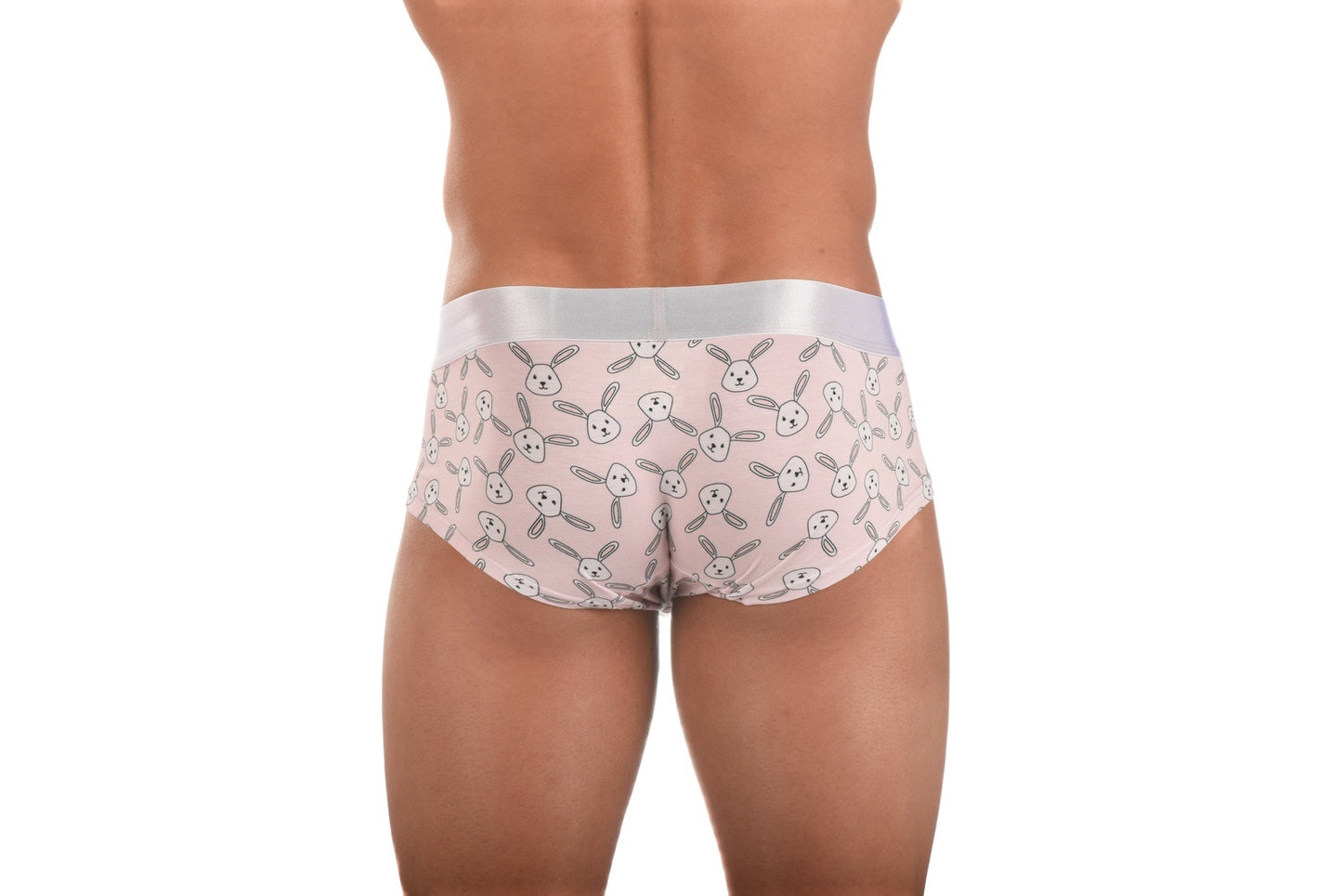 Ballistic Bunny Brief