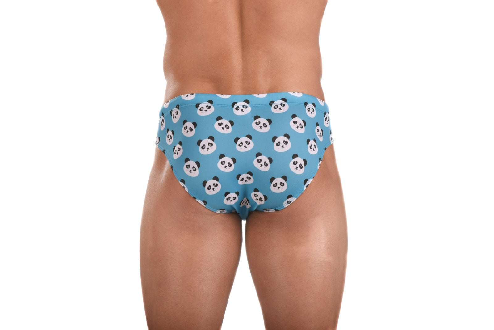 BM-Ailurus Swim Brief - BALLISTIC MENSWEAR