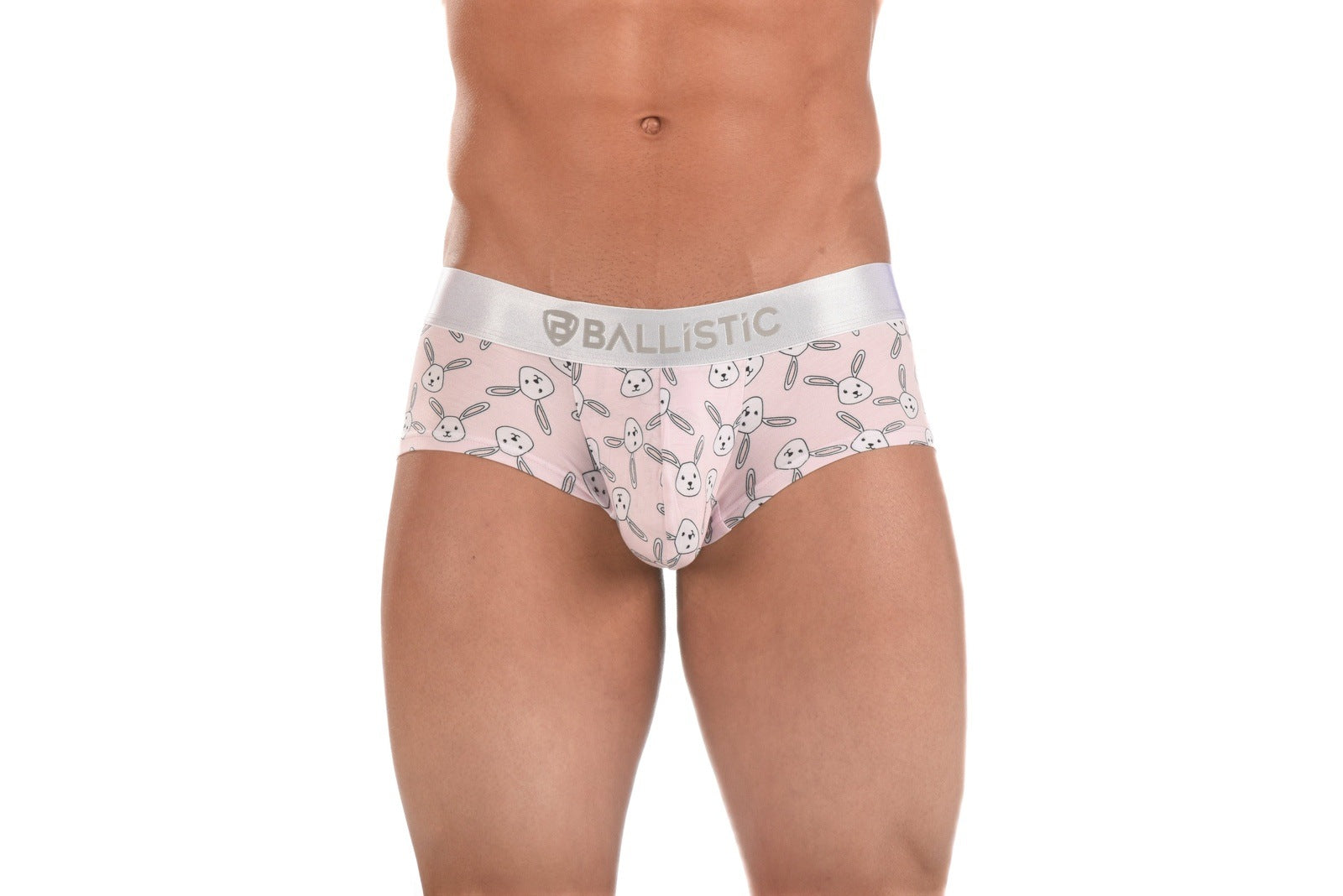 Ballistic Bunny Brief