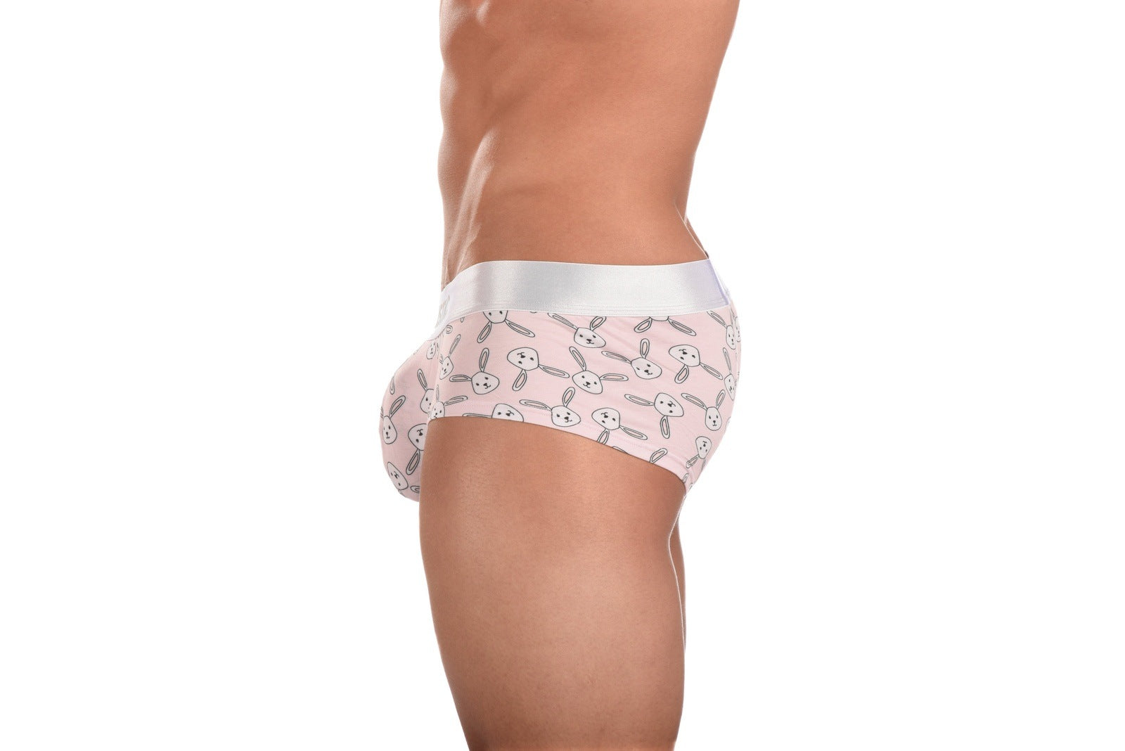 Ballistic Bunny Brief